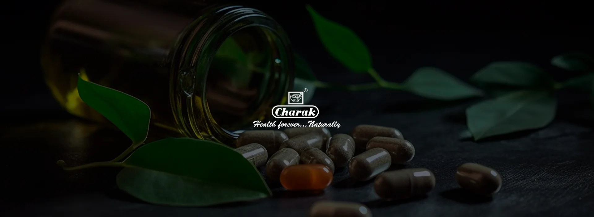 Charak Pharma case study