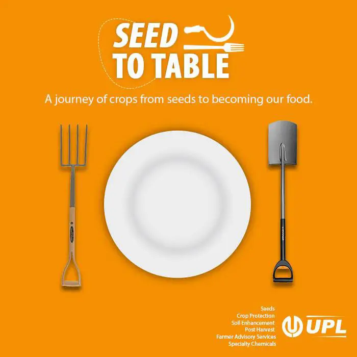 UPL work sample