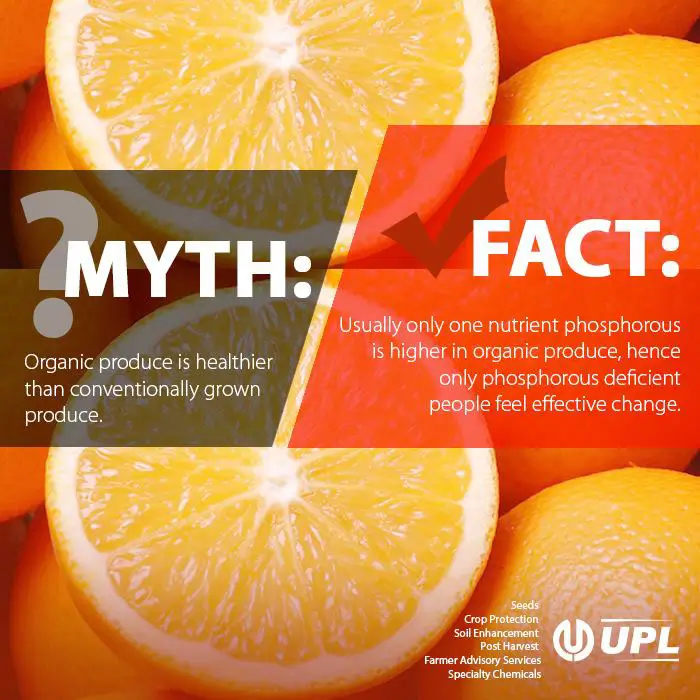 UPL work sample