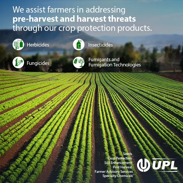 UPL work sample